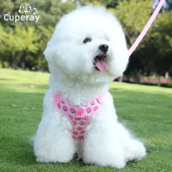 Комплект из шлейки и поводка для собак. Шлейка в виде жилета для маленьких собак. Дышащая и регулируемая шлейка для кошек и щенков для путешествий на свежем воздухе. XS