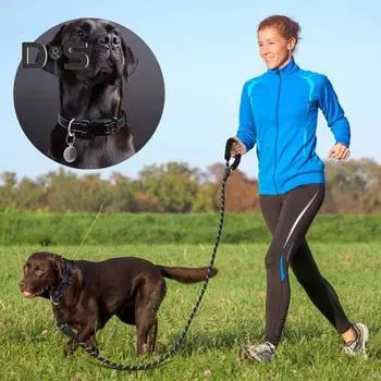 Комплект из светоотражающего ошейника и поводка для собак, 5-футовый нейлоновый ошейник для домашних животных с мягкой неопреновой подкладкой для маленьких, средних и больших собак S чёрный
