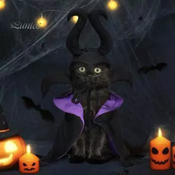 Комплект костюмов для домашних животных, одежда ведьмы на Хэллоуин, плащ для кошек, забавная одежда для собак-волшебников, мантия, одежда для косплея, платье для Хэллоуина, Рождества чёрный