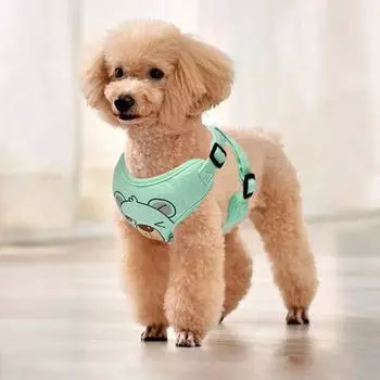 Комплект поводков для домашних собак, светоотражающий дышащий шлейка для собак, регулируемая удобная шлейка для щенков, дорожная шлейка для домашних животных XL