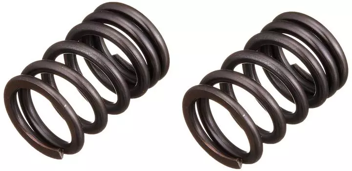 Комплект пружин клапана SP Takegawa (2 куска) 00-01-0283