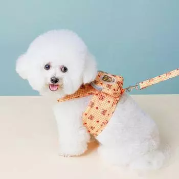 Комплект шлейки для рюкзака Ranboer Puppy Berry Bear, желтый