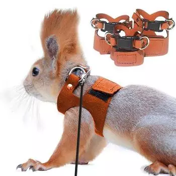 Комплект шлейки и поводка для бородатой агамы, регулируемая шлейка для ящерицы с нейлоновой веревкой, веревка для тяги мелких животных, аксессуары для бородатой агамы, беличьей крысы S кофейный