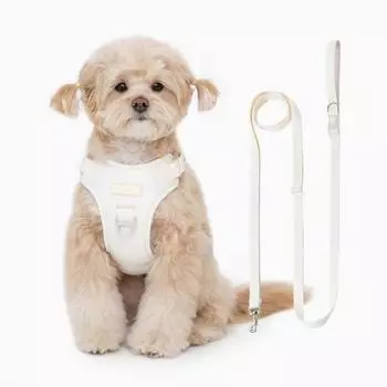 Комплект шлейки и поводка для домашних животных Pet Pet, бежевый