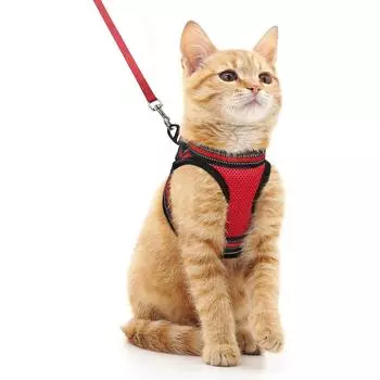 Комплект шлейки и поводка для кошек для прогулок, защита от побега, регулируемый мягкий жилет для котят со светоотражающей полосой для кошек, удобный на улице S