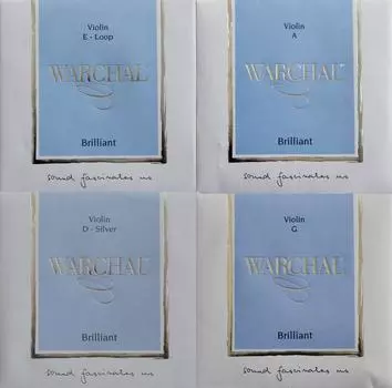 Комплект скрипичных струн Warchal Brilliant 900SL End D-Silver E-Loop []