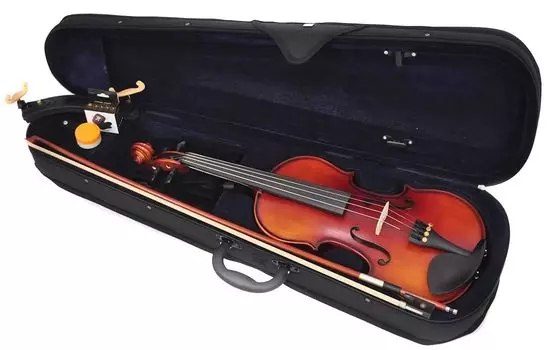 Комплект скрипки PLAYTECH, стандартный размер, струнодержатель со встроенным регулятором, 2 части, одинарная пластина на грифе из черного дерева, тюнер в комплекте, смычок 4/4,
