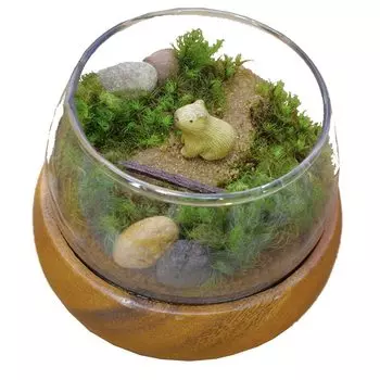 Комплект террариума из мха с водонепроницаемой фигуркой капибары, миниатюрный садовый шар из мха в японском стиле, сделано в [Moss Japan]