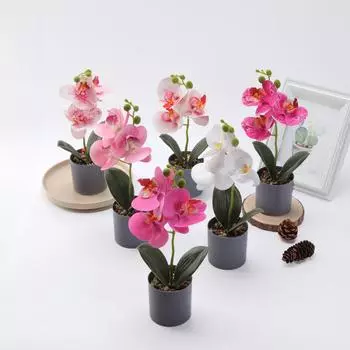 Композиция из орхидей фаленопсис: Искусственные цветы в горшках с 3 стеблями в черно-белом горшке для декора гостиной