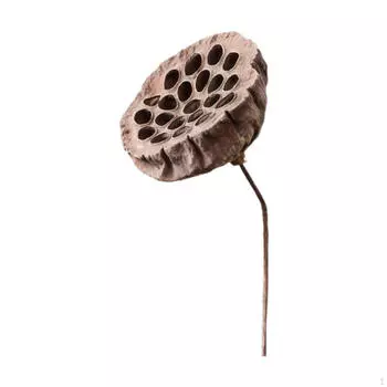 Композиция из сухих цветов в вазе, центральный элемент декора для спальни и мероприятий своими руками Style C