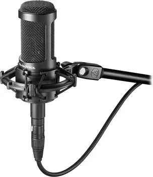 Конденсаторный микрофон Audio Technica AT2050 чёрный