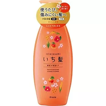 Кондиционер для интенсивного увлажнения Ichikami Dense Double Moisturizing Care, дозатор 480 г (х 1)
