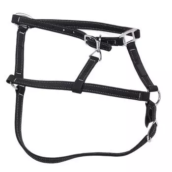 Конная уздечка Нейлоновая уздечка для верховой езды Регулируемая уздечка для верховой езды Аксессуар для конного спорта M Size Fit for 3.6-4.3ft