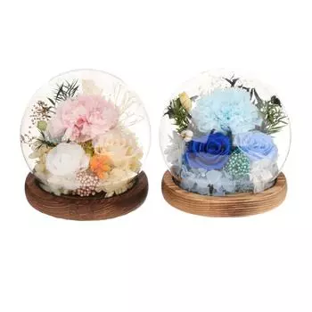 Консервированные цветы в подарок с подсветкой Уникальный цветочный подарок Подарки на День матери Подарок с гвоздикой Для женщин Настоящие цветы для бабушки и мамы шампанского