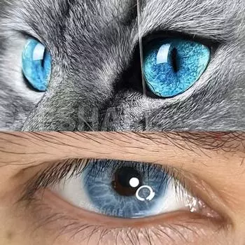 Контактные линзы естественного цвета Eyeshare для глаз. Комфортные линзы для ношения. Модные контактные линзы с содержанием воды 38%.