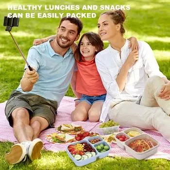 Контейнеры для ланч-боксов Bento для взрослых и детей, многоразовые контейнеры для приготовления еды с 3 отделениями