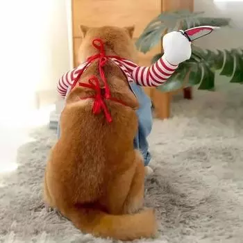 Коралловый флис забавные костюмы для домашних животных костюм на Хэллоуин уникальный дизайн куртки для собак и кошек милые пальто товары для животных принадлежности S Bust 43-54cm