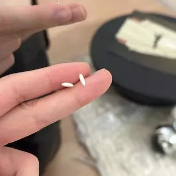 Корейская версия маленьких матовых сережек-гвоздиков из риса для женщин Ins Cold Wind Простые ежедневные поездки на работу Студенты могут носить серьги