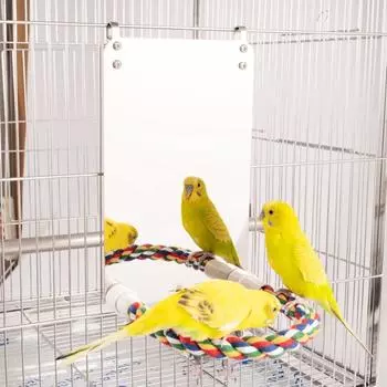 Корелла Conure Клетка для попугая Аксессуары Акриловый Brid Зеркало Жердочка Подставка Игрушки для попугая Качели S