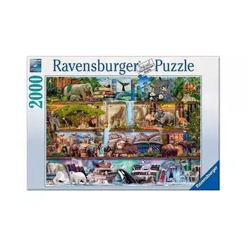 Корея Настольные игры Полка Пазл Natural Kingdom Jigsaw R166527, разные цвета, 2000 деталей Пазл, Детские игры, Развивающие игрушки
