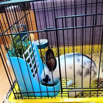 Кормушка для сена подходит для клеток с небольшими домашними животными и представляет собой комплексное решение для кроликов, морских свинок и кошек. розовый