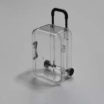 Коробка для хранения серег Мини-футляр на тележке с мини-колесами Прозрачные заколки для волос Ожерелья Кольца Органайзер Подвеска Организационный футляр Коробка конфет чистый