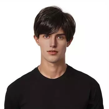 Короткие черные коричневые синтетические парики для мужчин, натуральные мягкие волосы с челкой для мужчин, модные повседневные парики для вечеринок, термостойкое волокно чёрный