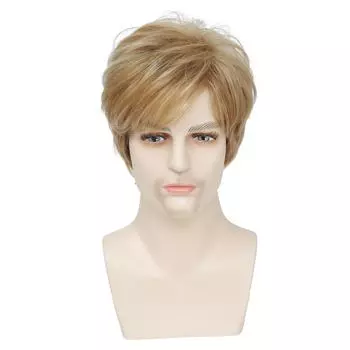 Короткие стрижки мужские синтетические волосы парики для костюмов блонд парик с челкой для мужчин естественный вид косплей вечеринка термостойкое волокно светлый