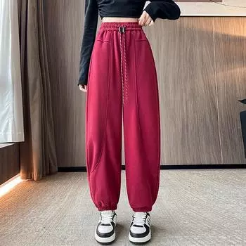 Корсетные спортивные брюки с высокой талией, женские осенне-зимние бархатные брюки-харлан, маленькие свободные и тонкие S