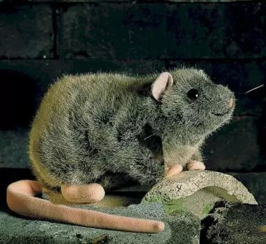 KOSEN Лежащая плюшевая игрушка Rille Крыса, 22см, Коричневый, Пух,