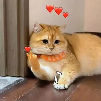 Кошачья новинка, многофункциональная игрушка, дразнящая кошку, мягкие перчатки для пальцев из термопластичной резины, забавные мини-ручки, массажные инструменты для домашних животных, поддельные ручные интерактивные игрушки для кошек