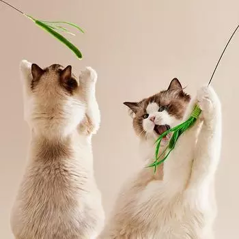 Кошачья перьевая палочка-дразнилка, длинная ручка, прочная, устойчивая к укусам, интерактивная ручная игрушка для кошек, волшебный хвост собаки, имитация травы, игрушки для кошек зелёный