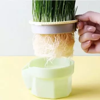 Кошачья закуска Мята Посадка Гидропонная Пластиковая Коробка Кошачий Горшок Контрастная Гидропонная Детская Трава Для Кошачьих Растений Миска Без Семени Садовые Принадлежности зелёный