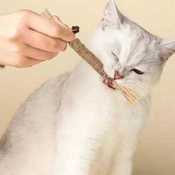 Кошачья жевательная палочка, игрушка из натуральной виноградной лозы, игрушка для здоровья зубов, молярная игрушка, кошачья мята, лакомство, игрушки, палочка для чистки зубов для домашних котят S