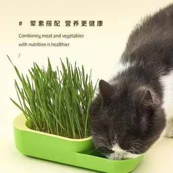 Кошачий травяной ящик Cat Snack Гидропонное беспочвенное выращивание Cat Grass Pot Set Помогает пищеварению кошки Cat Snack Cat Grass Box Миска для кошачьего корма оранжевый