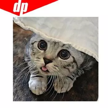 Кошка Алмазная вышивка 5D DIY Алмазная картина Вышивка крестом Изображение Полный круглый бриллиант 30x30