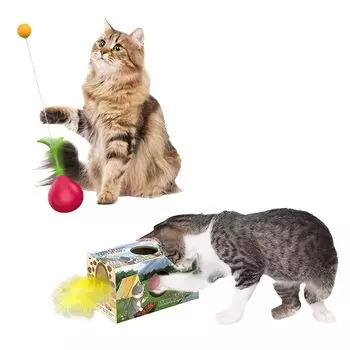 Кошка играет, товары для кошек, чтобы компенсировать кошачью нехватку кошки, кошка, кошка, питомец, кошка, кошка, игрушка для кошки, игрушка, в одиночку, мяч, упражнение, игрушка, игрушка, игрушка, мяч, игрушка, мяч, игрушка,