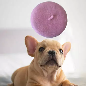 Кошка Собака Берет Регулируемая Эластичная Лента Модный Костюм Аксессуар Для Волос Удобный Головной Убор Для Домашних Животных розовый