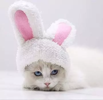 Косплей для питомца, кошачья шерсть, забавный и милый кролик, кот, собака и кошка, ухо кролика, кошка на Хэллоуин, кошка, питомец, косплей, трансформация, милые уши, легко надевать