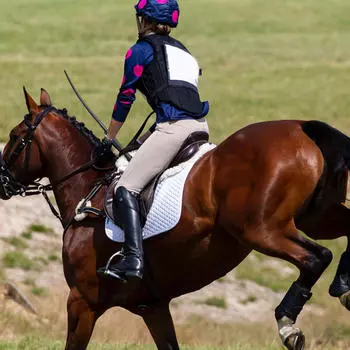 Косплей хлыст для соревнований по верховой езде с переносной ручкой для начинающих и любителей чёрный