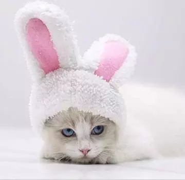 Косплей на питомца, забавная и милая кошачья шерсть, кролик, кошка, собака и кошка, кошка, кроличьи уши, кошка, питомец, косплей, трансформация, легко надевать и брать с собой питомца
