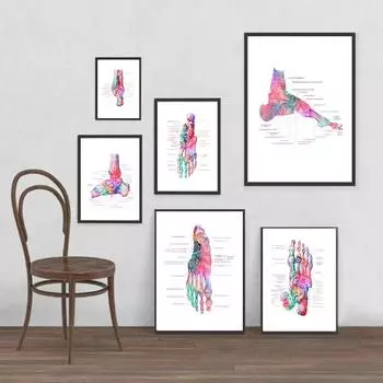 Кости стопы, анатомия, художественное произведение, медицинская настенная картина, постер для ортопедии, мышечная система, винтажный постер, печать на холсте, живопись для образования тела A4 21X30CM No Frame