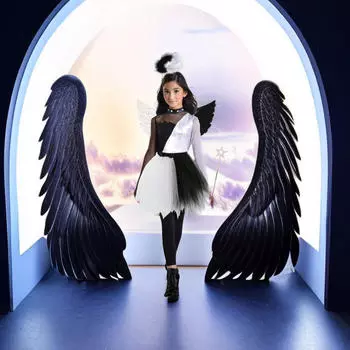 Костюм ангела и дьявола с крыльями, набор, пачка, карнавальный костюм для детей, косплей для сценического представления
