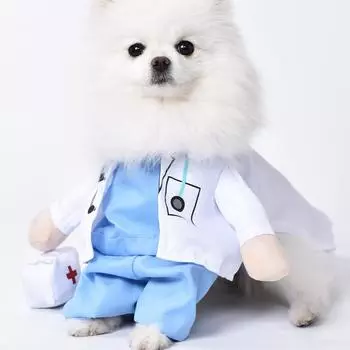 Костюм для домашних животных, собак и кошек на Хеллоуин, костюм доктора и медсестры, джинсы для собак, одежда для кошек, забавный наряд для кошек, униформа(Доктор,С.) L