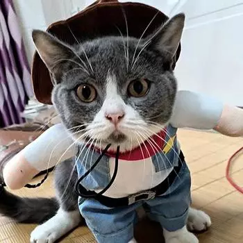 Костюм для домашних животных, забавная милая одежда для собак, костюм для Хэллоуина, рождественского праздника, наряд для косплея, праздничная одежда, одежда со шляпой для собак XL