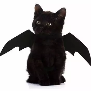 Костюм для косплея кошки, черный костюм с крыльями летучей мыши, вечеринка на Хэллоуин для товаров для домашних животных, 1 шт. чёрный
