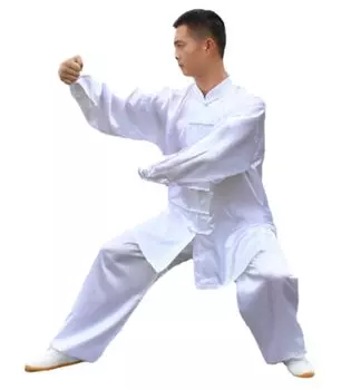 Костюм для косплея кунг-фу, большой костюм для выступления мастера боевых искусств тайцзи, кэмпо, шаолинь [deaizaka.biz] (белый) белый