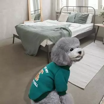 Костюм для питомца, милый полиэстер, удобный для Тедди 2XL зелёный