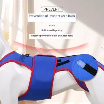 Костюм для поддержки позвоночника для домашних животных Старая собака Профилактика шейного спондилеза Костюм для комфорта домашних животных Тяговая шлейка S синий