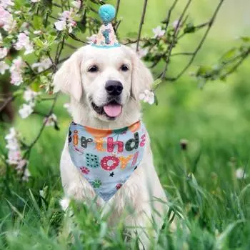Костюм для собак на день рождения, аксессуар для домашних животных, бандана, набор с цифрами, наряд для щенка, треугольный шарф, наряд для маленьких, средних и больших собак розовый